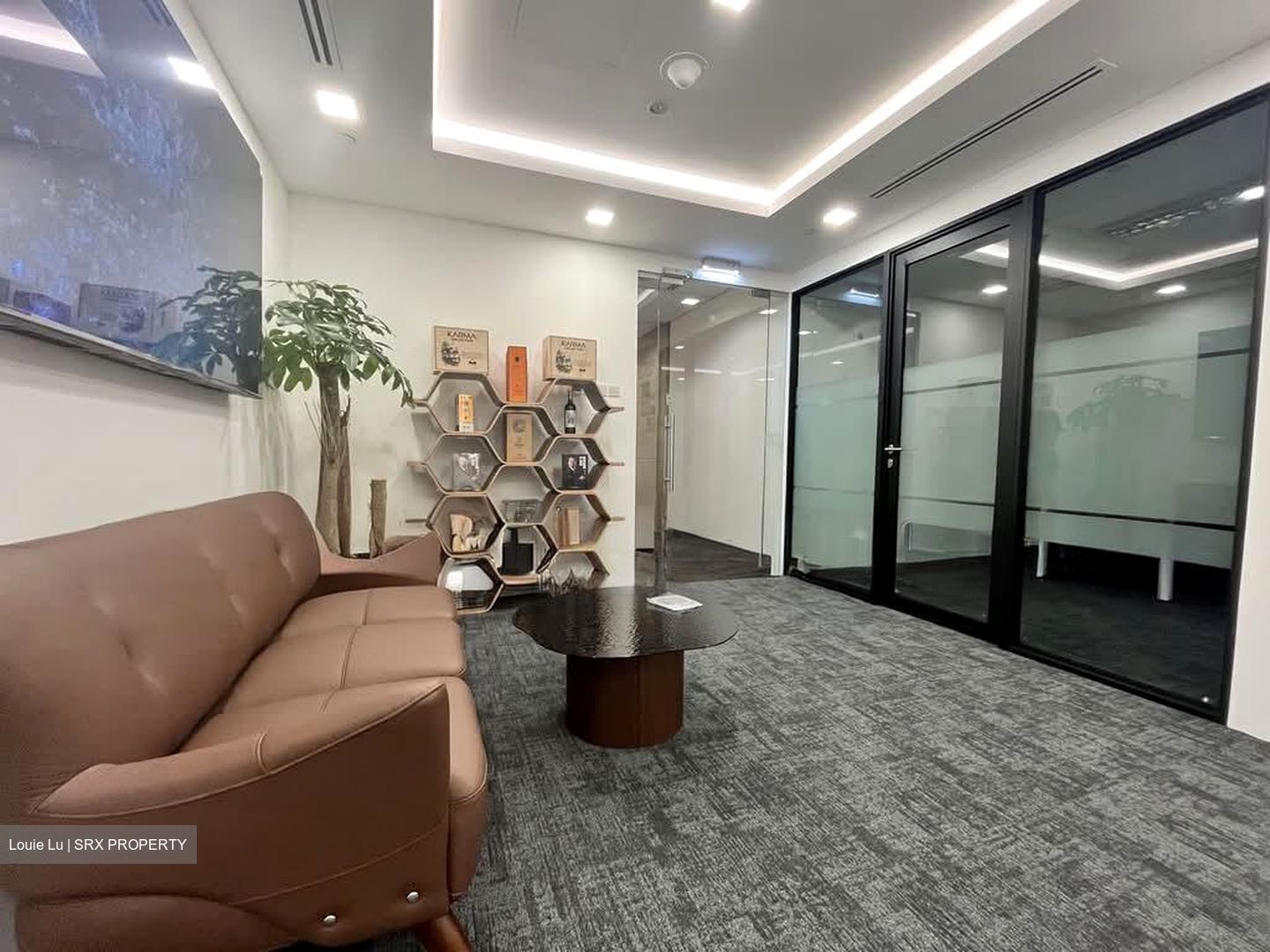 Sgx Centre I (D1), Office #568053231